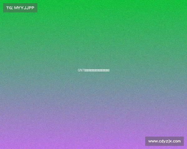 GNT荣耀之师,开启,开启全新巅峰征程 GNT荣耀之师,开启,开启全新巅峰征程